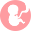 Control prenatal